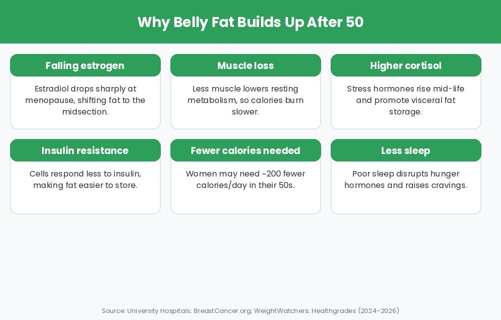 Six causes of belly fat after 50: estrogen, muscle loss, cortisol, insulin resistance, fewer calories needed, less sleep