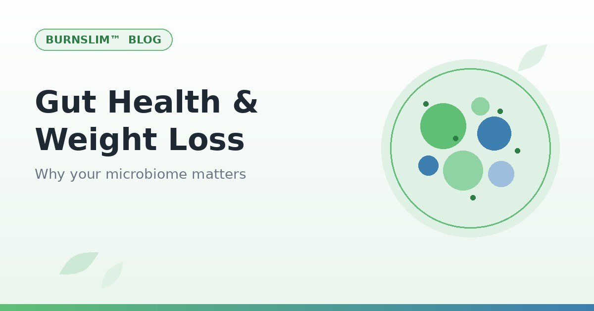 Microbiome illustration with colorful bacteria circles for the gut health article